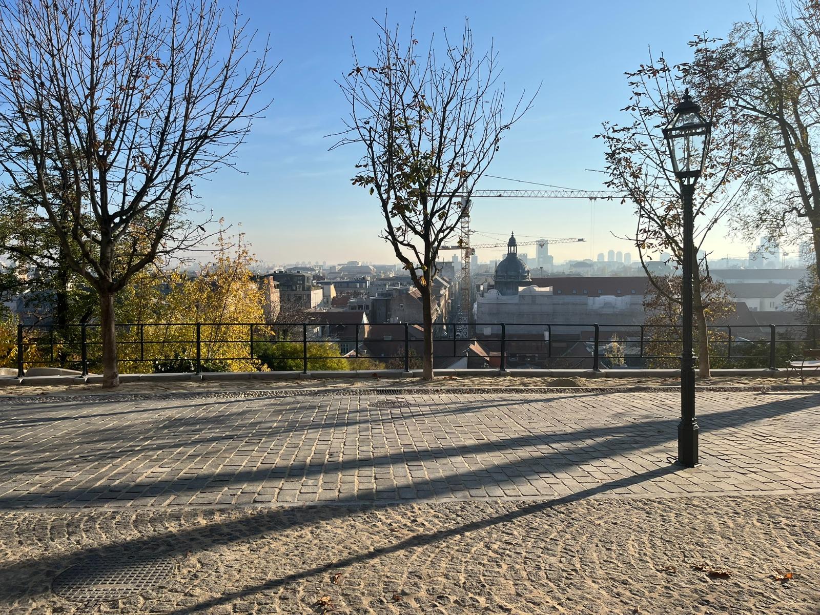 WhatsApp Image 2026-03-30 at 11.53.49