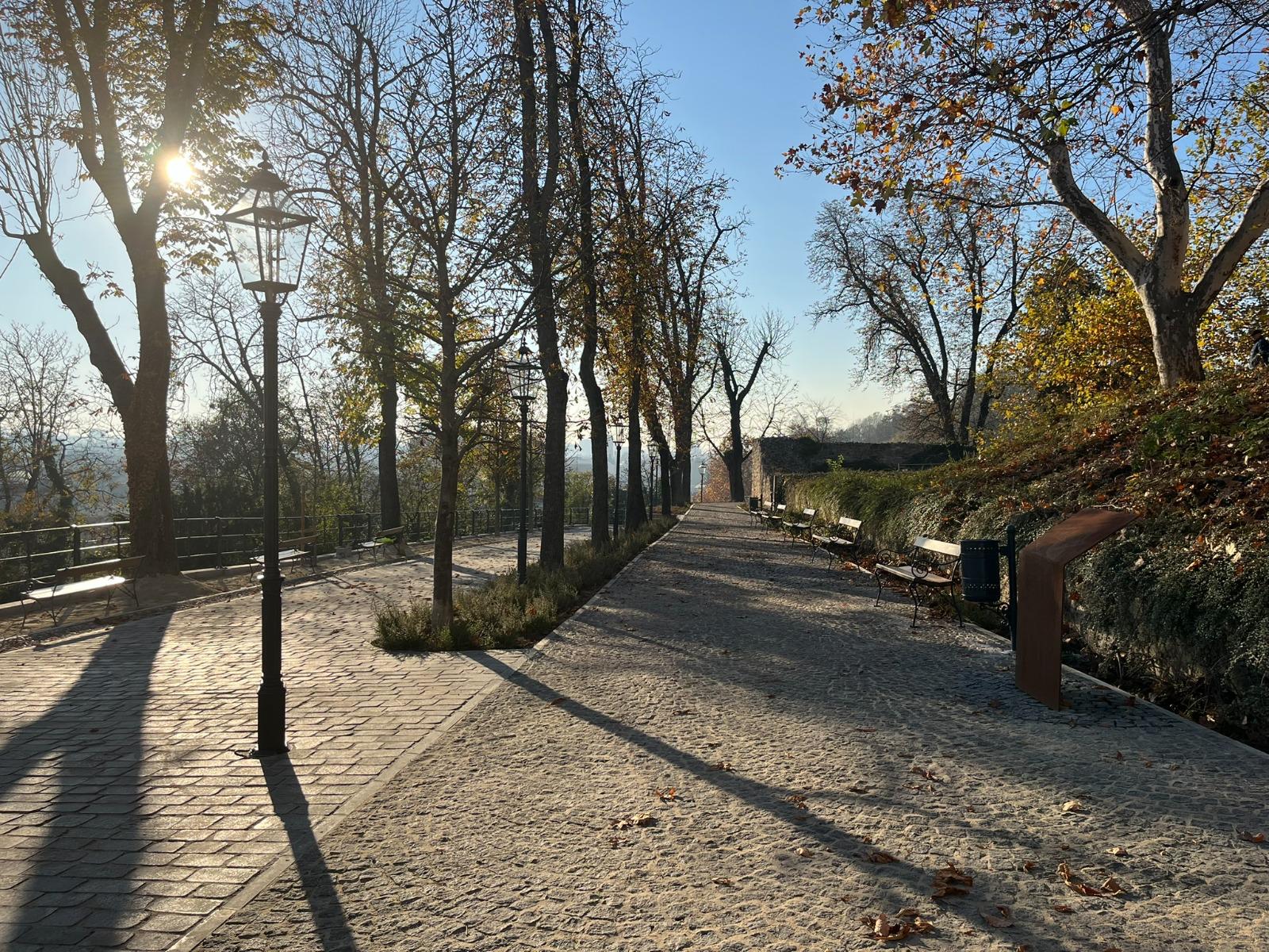 WhatsApp Image 2026-03-30 at 11.53.50 (1)