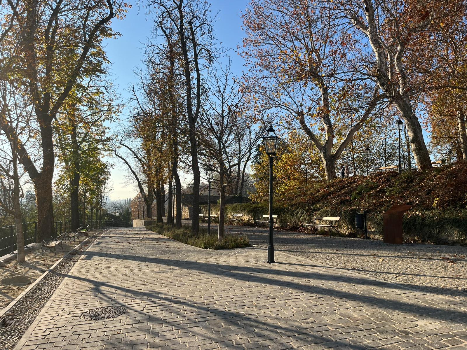 WhatsApp Image 2026-03-30 at 11.53.51