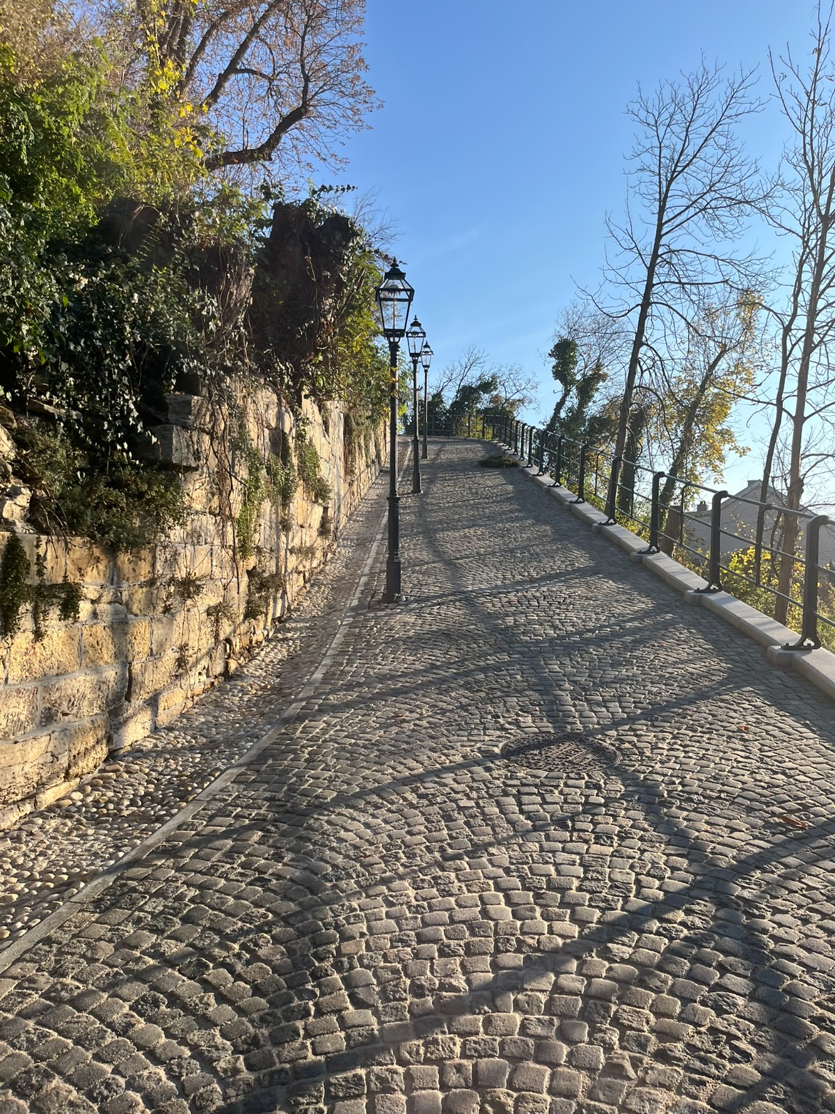 WhatsApp Image 2026-03-30 at 12.17.00