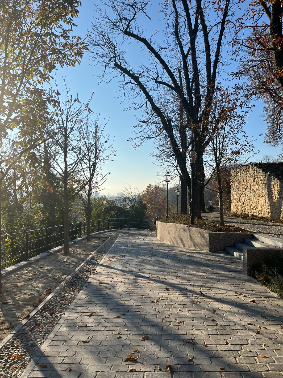 WhatsApp Image 2026-03-30 at 12.17.01 (6)