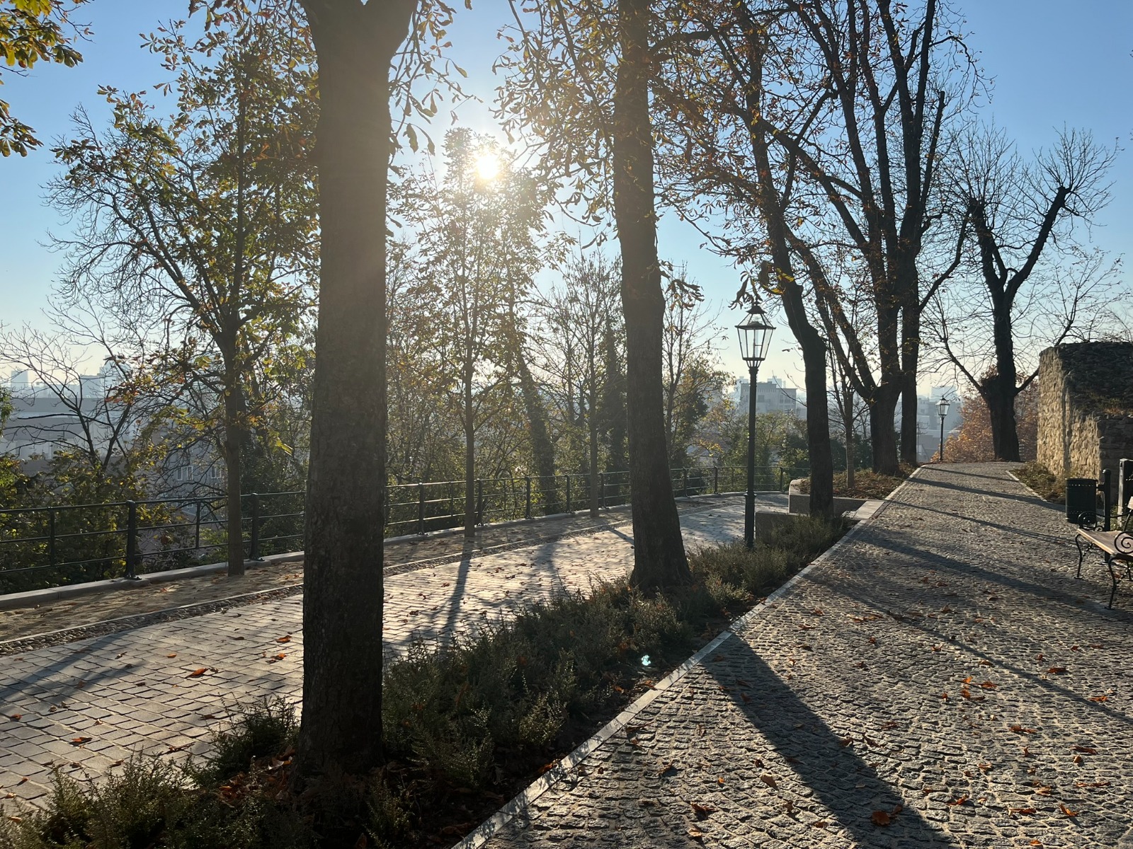 WhatsApp Image 2026-03-30 at 12.17.01 (7)