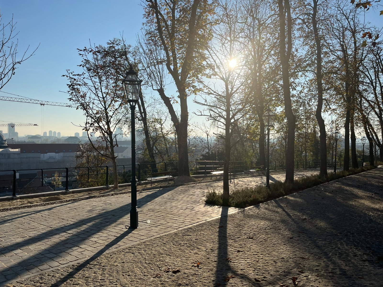 WhatsApp Image 2026-03-30 at 12.17.01 (9)