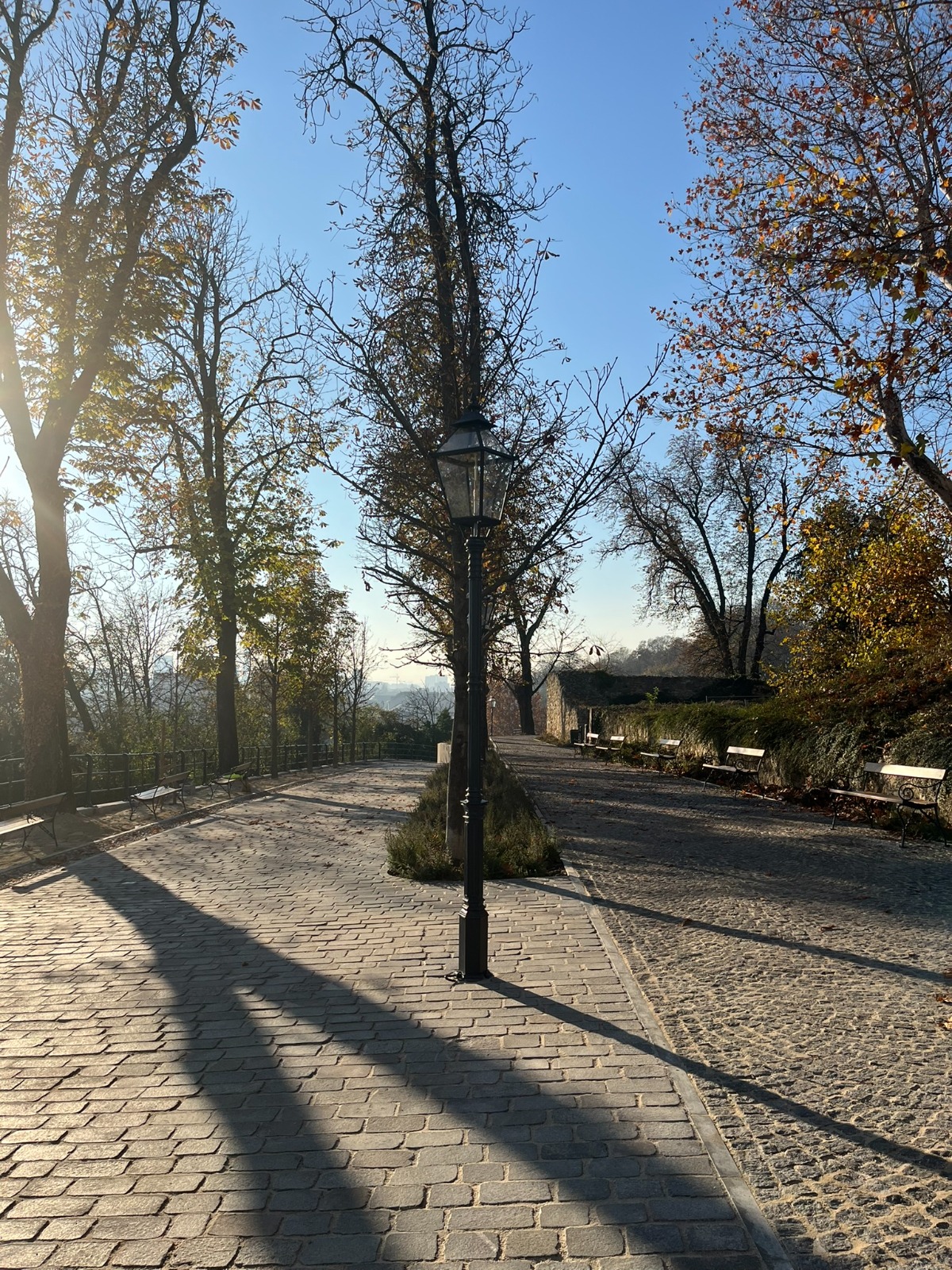 WhatsApp Image 2026-03-30 at 12.17.03